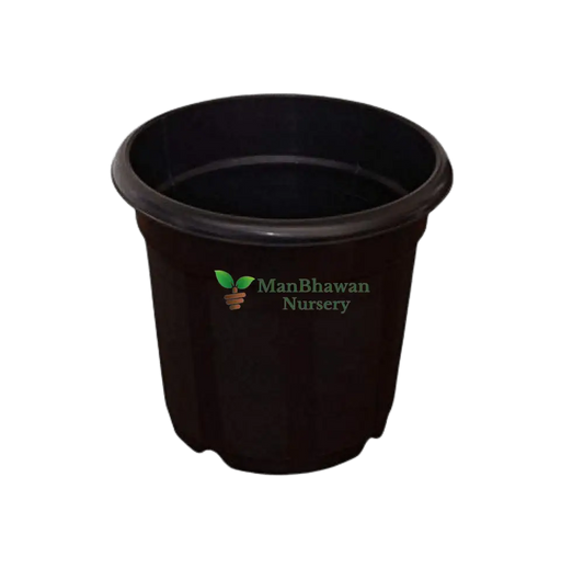 Plastic Nursery Planter - Black