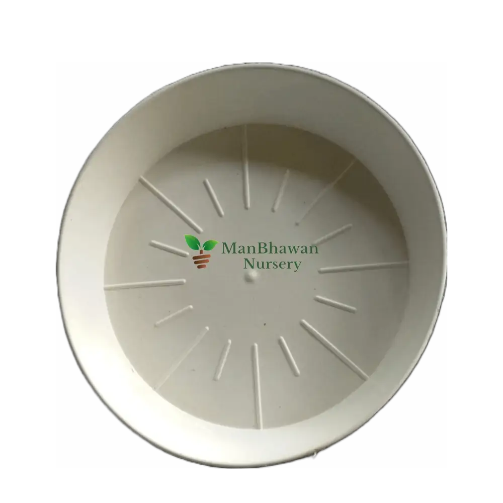 Plastic Planter Plate 4 Inch / White