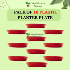 Plastic Planter Ten Plate Combo - 8 Inch Size