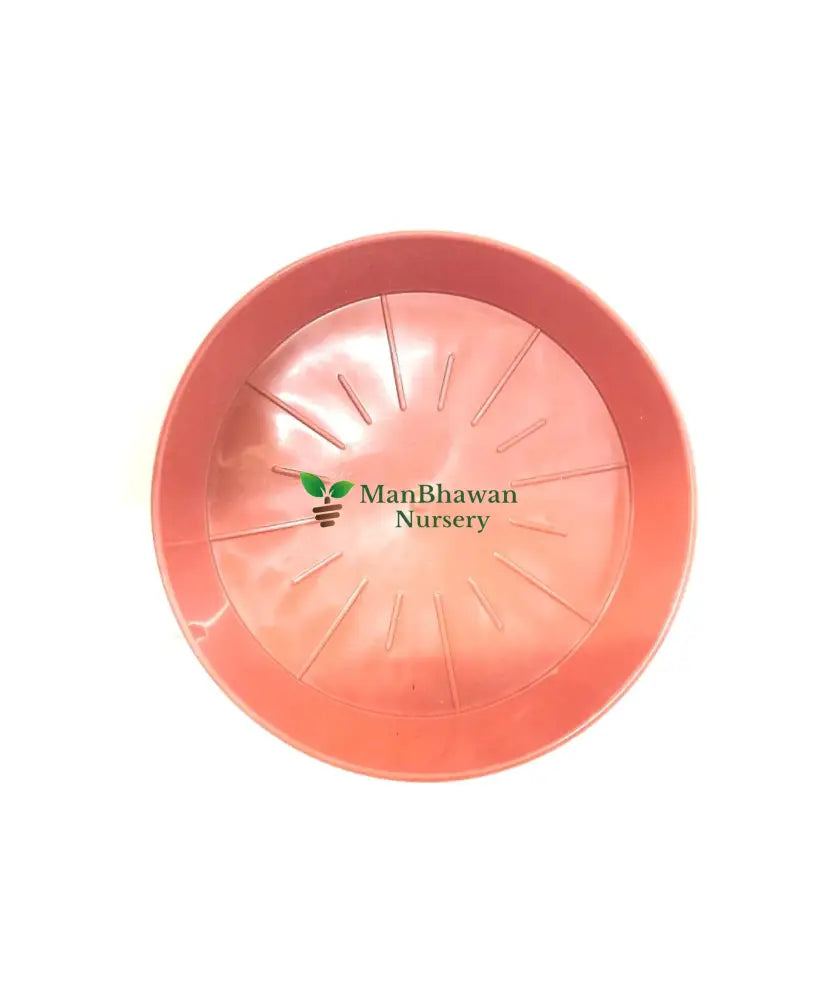 Plastic Planter Ten Plate Combo - 8 Inch Size