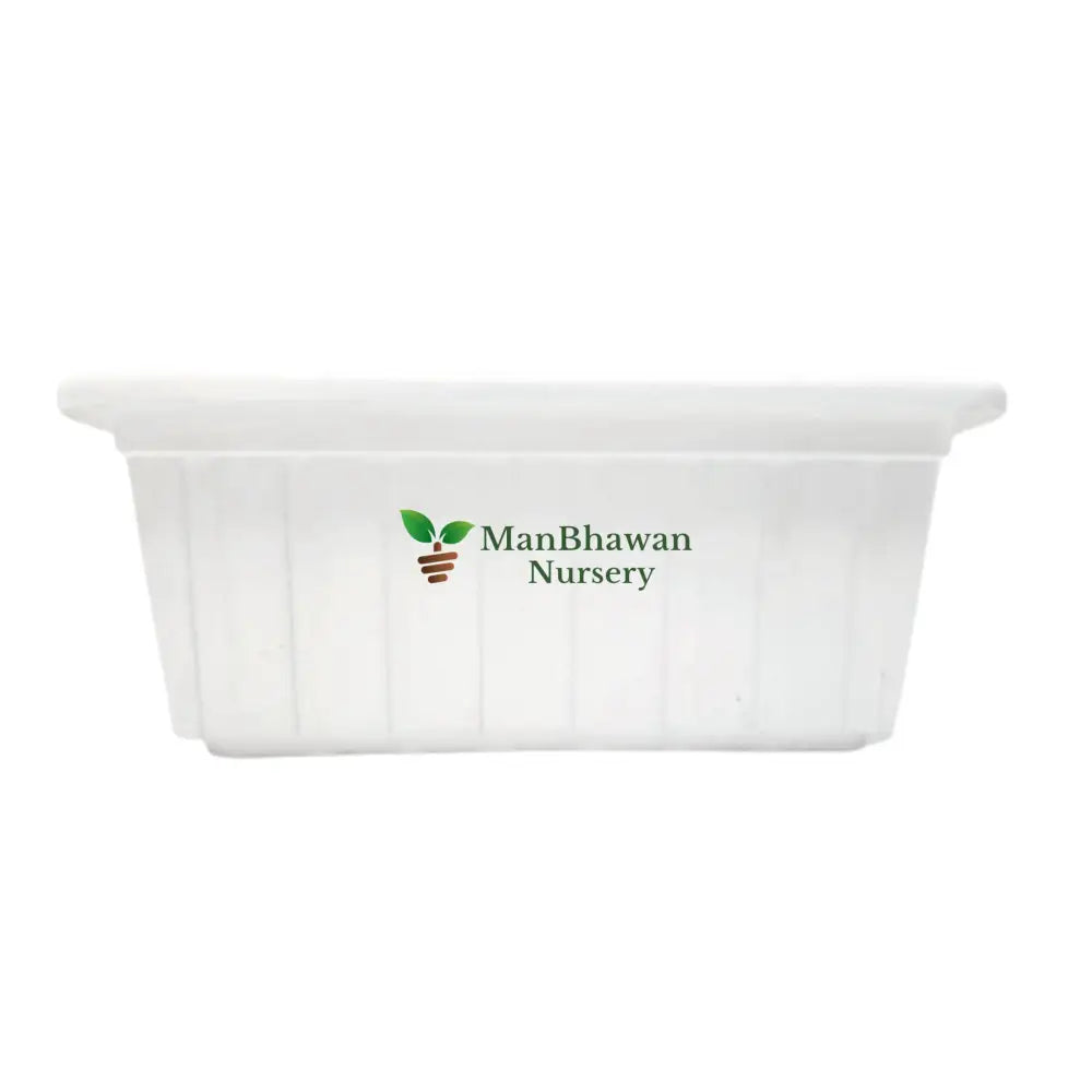 Rectangle Plastic Pot - Multicolor 14 Inch / White