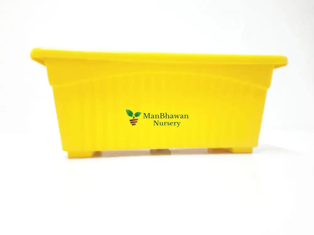 Rectangle Plastic Pot - Multicolor 14 Inch / Yellow
