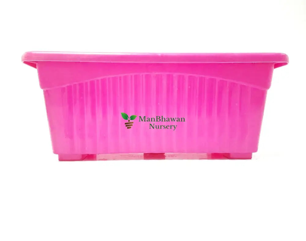 Rectangle Plastic Pot - Multicolor