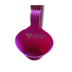 Single Hook Plastic Pot Pink