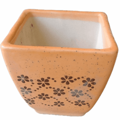 Square Bonsai Ceramic Pot Brown / Painting Bonsai