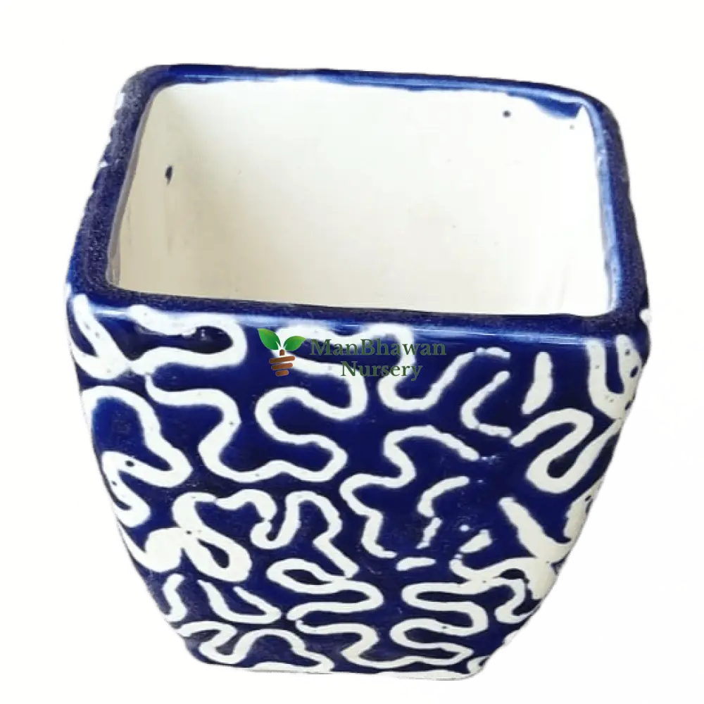 Square Bonsai Ceramic Pot