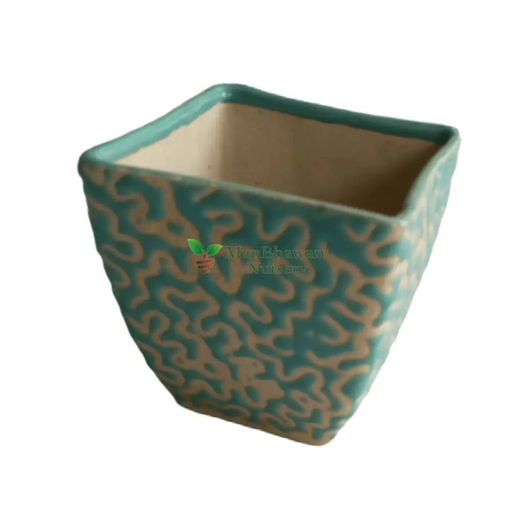 Square Bonsai Ceramic Pot Blue / RD Bonsai