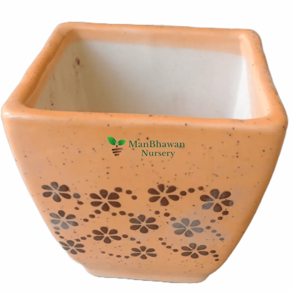 Square Bonsai Ceramic Pot Brown / Painting Bonsai