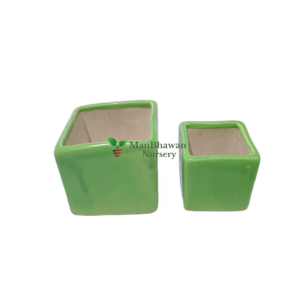 Square Shape - Ceramic Pot 2.5 Inch / Green