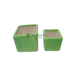 Square Shape - Ceramic Pot 2.5 Inch / Green