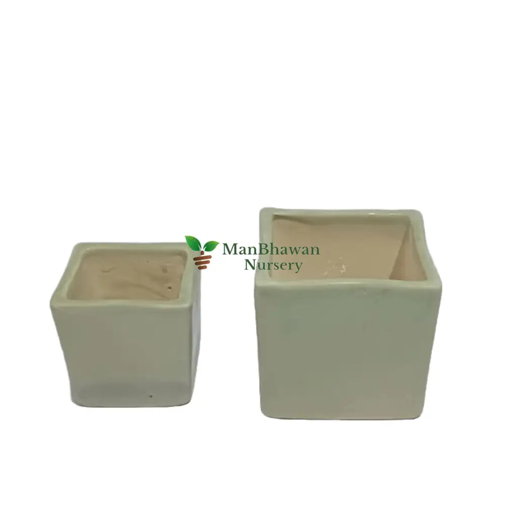 Square Shape - Ceramic Pot 2.5 Inch / Light green