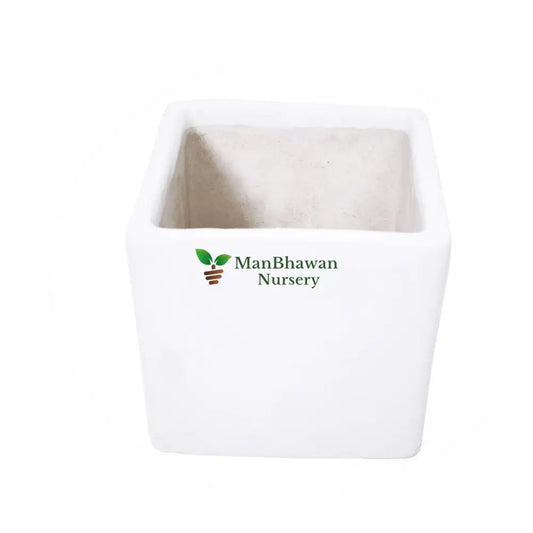 Square Shape - Ceramic Pot 2.5 Inch / White