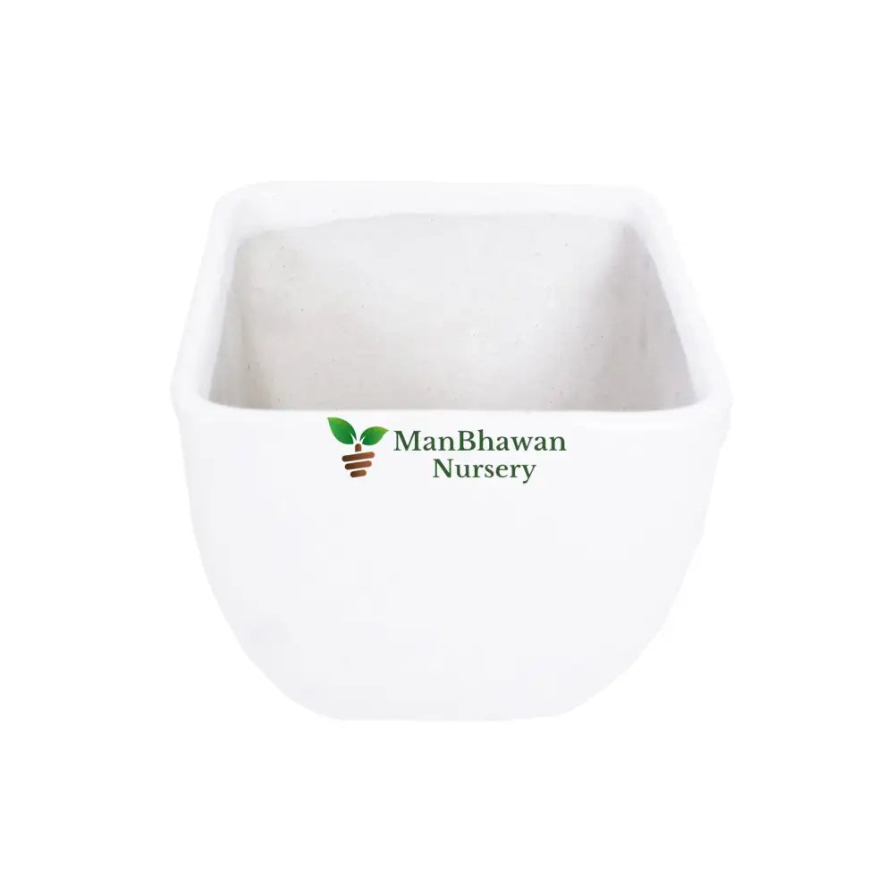 Ceramic Pot Square Top Online: Modern elegance delivered, Premium online purchase for stylish ceramics, Buy online for modern and elegant plant containers