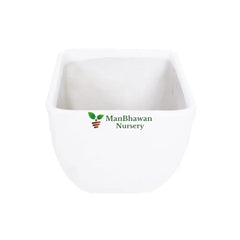 Ceramic Pot Square Top Online: Modern elegance delivered, Premium online purchase for stylish ceramics, Buy online for modern and elegant plant containers