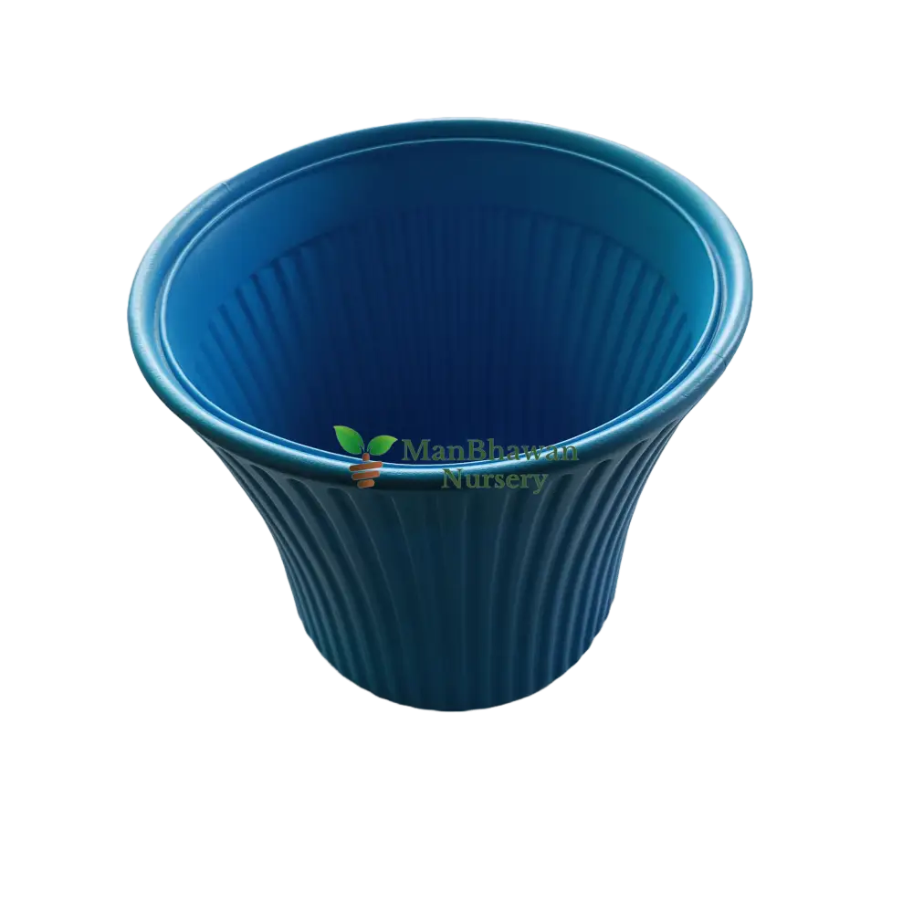 Striped Pattern - Plastic Pot 8 Inch / Blue