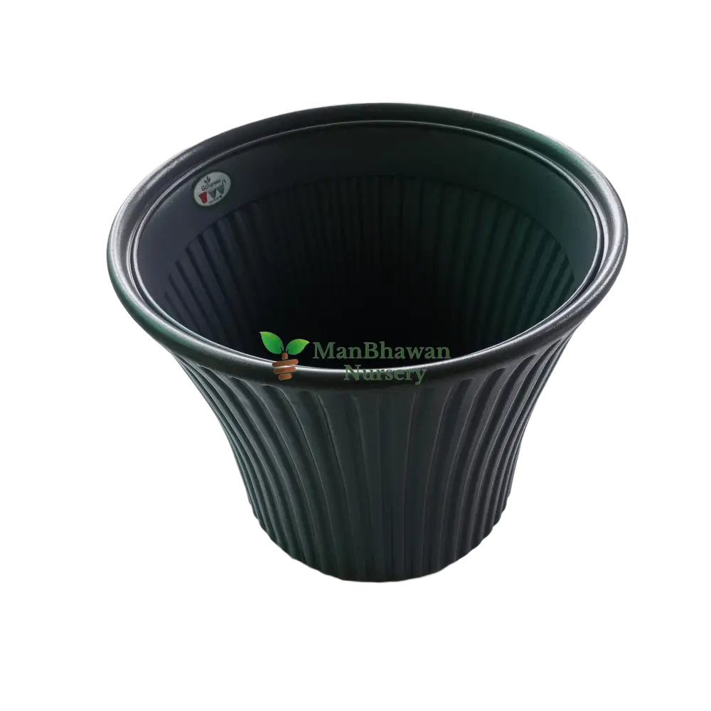 Striped Pattern - Plastic Pot 8 Inch / Grey