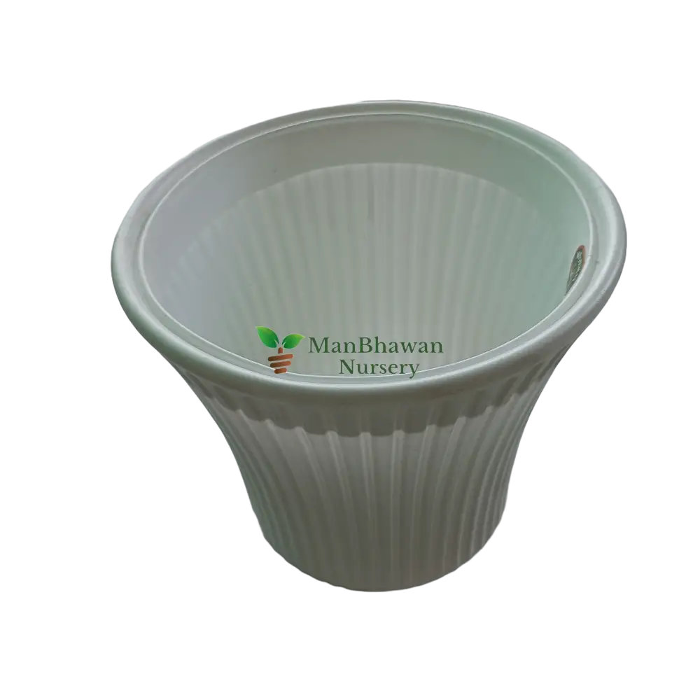 Striped Pattern - Plastic Pot 8 Inch / White