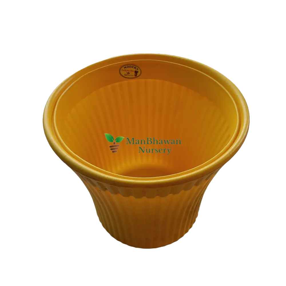 Striped Pattern - Plastic Pot 8 Inch / Yellow