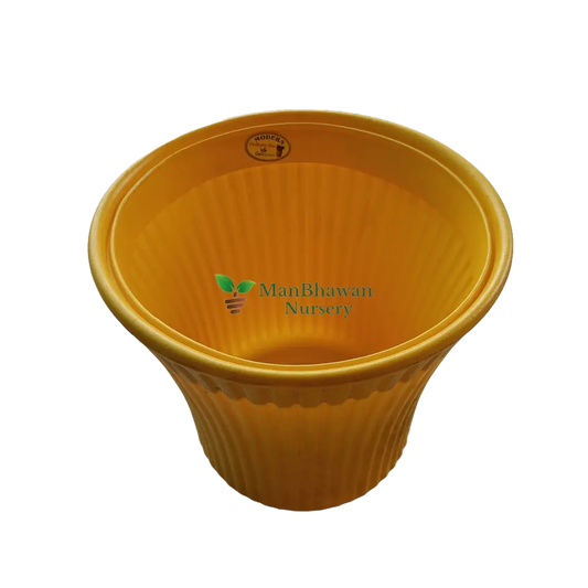 Striped Pattern - Plastic Pot 8 Inch / Yellow