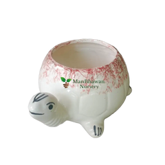 Tortoise Shape - Ceramic Pot