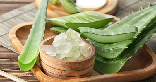 7 Lesser-Known Benefits Of Aloe Vera