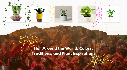 Holi Around the World: Colors, Traditions, and Plant Inspirations