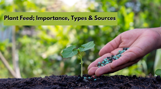 Plant Feed; Importance, Types & Sources