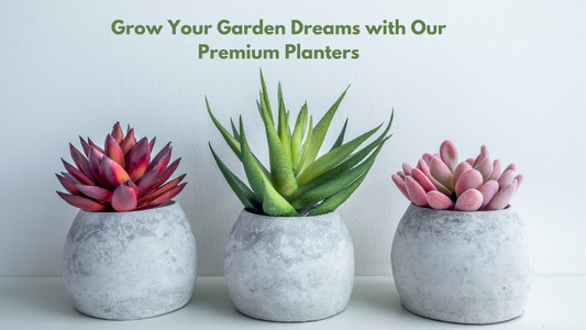 Garden Dreams in a Pot: Finding the Ideal Planters for You