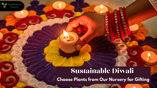 Sustainable Diwali: Choose Plants from Our Nursery for Gifting