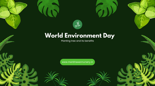 World Environment Day: Planting tree and its benefits