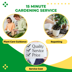 15-Minute Gardening Service during Plant Delivery