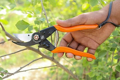 new online pruning secateurs