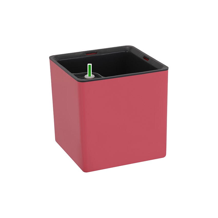 COLUMBUS Self Watering Pot (6 Inch) ManBhawan Nursery