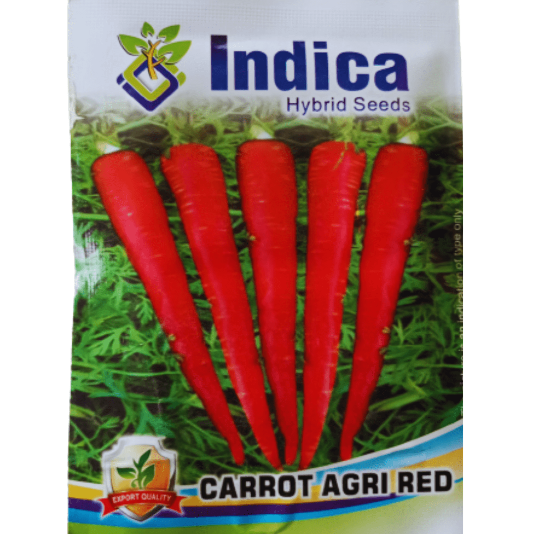 Carrot Seeds ManBhawan Nursery