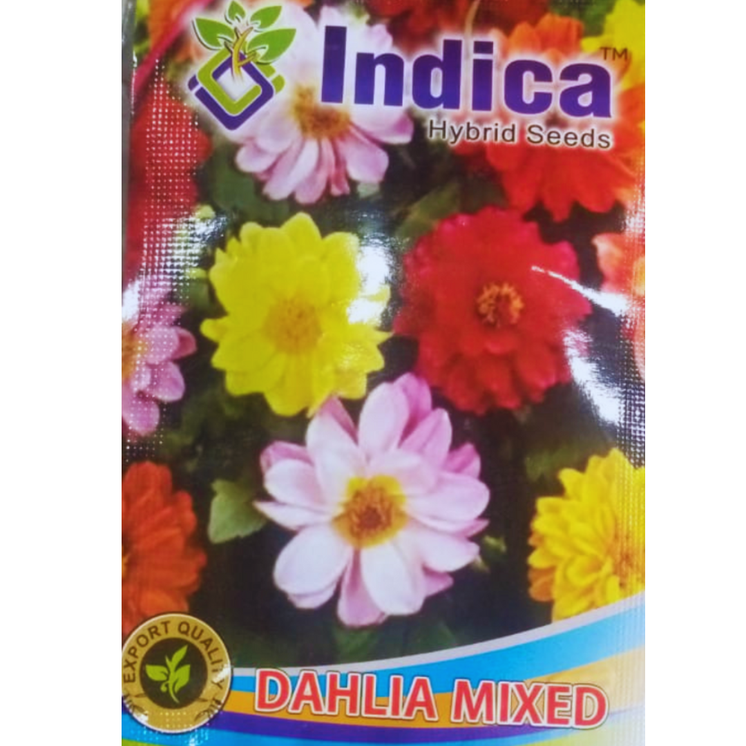Buy Dahlia Flower Seeds Online: Planting Possibilities, Purchase Dahlia Seeds: Elevate Your Gardening Experience