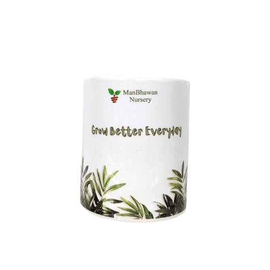 Grow Better Everyday Printed Ceramic Pot - 4 Inch