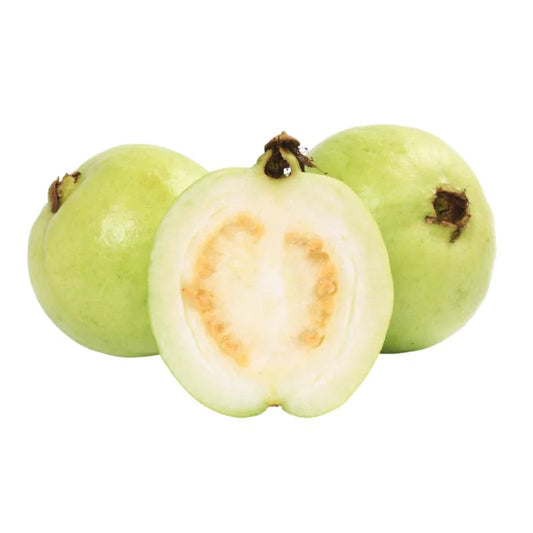 Guava L49 (Amrud) Variety Plant
