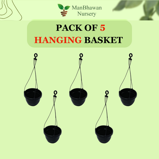 Buy Online: Hanging Basket Five Pot Combo - Money Saver Pack for a stunning and economical garden display, Order Hanging Basket Combo Online: Save on your garden budget with this attractive five-pot arrangement, Purchase Hanging Basket Five Pot Combo Online: An economical choice for a diverse and visually appealing garden setup