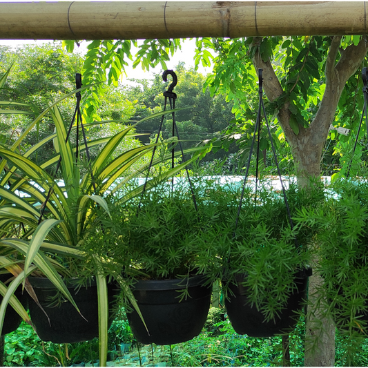 shop for best hanging planters on sale, buy online plastic pot for garden, best plastic planters for home