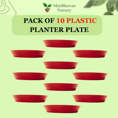 Plastic Planter Ten Plate Combo - 8 Inch Size