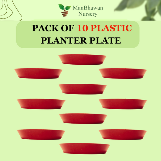Plastic Planter Ten Plate Combo - 10 Inch Size