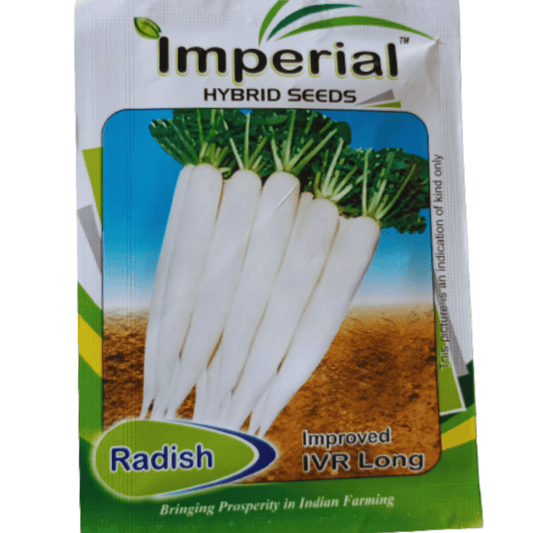 Radish Seeds