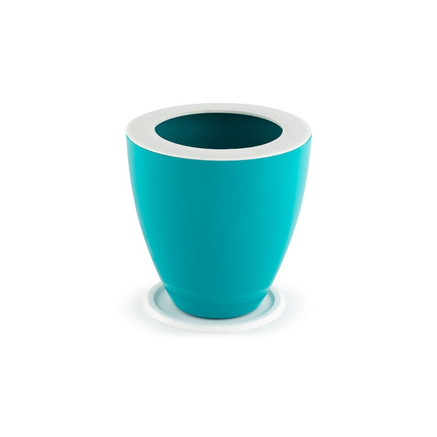 Buy Convex Self-watering Online: Smart and stylish plant care