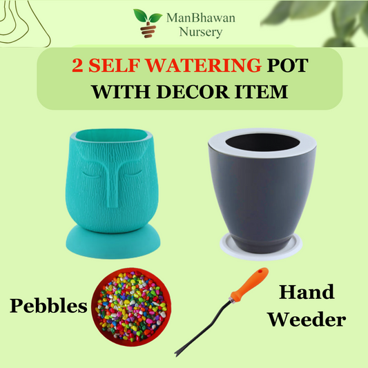 Self Watering Planter Combo with Pebbles & Hand Weeder