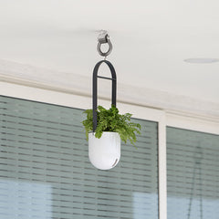 SPHERE - Wall Hanging Self Watering Pot (6 Inch)