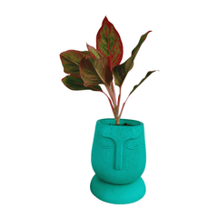 Aglaonema Lipstick Plant in Face Kraft Self Watering Pot