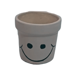 ashwani style ceramic pot for home, buy online ceramic pot for home