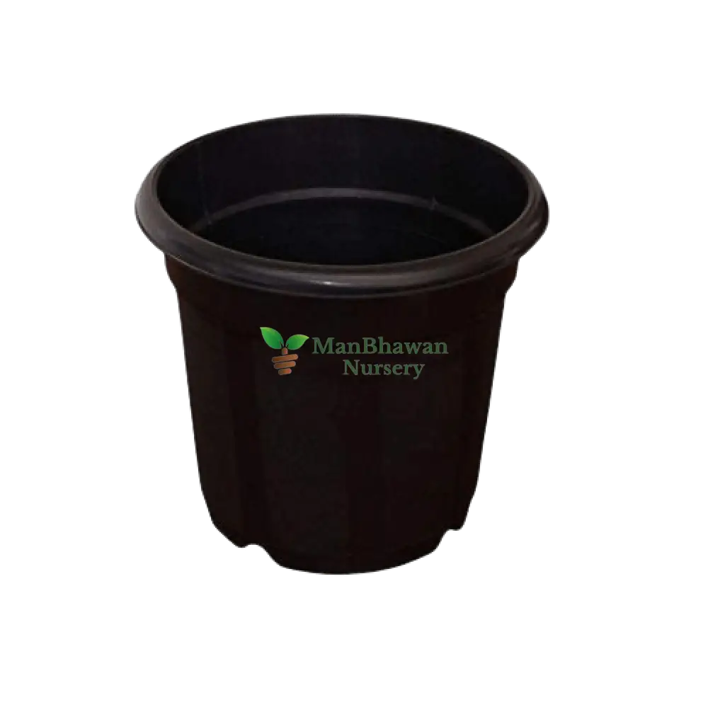 Black Plastic Planter Five Pot Combo - 10 Inch Size