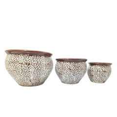 shop for best kalash shape ceramic pot, ceramic pot online