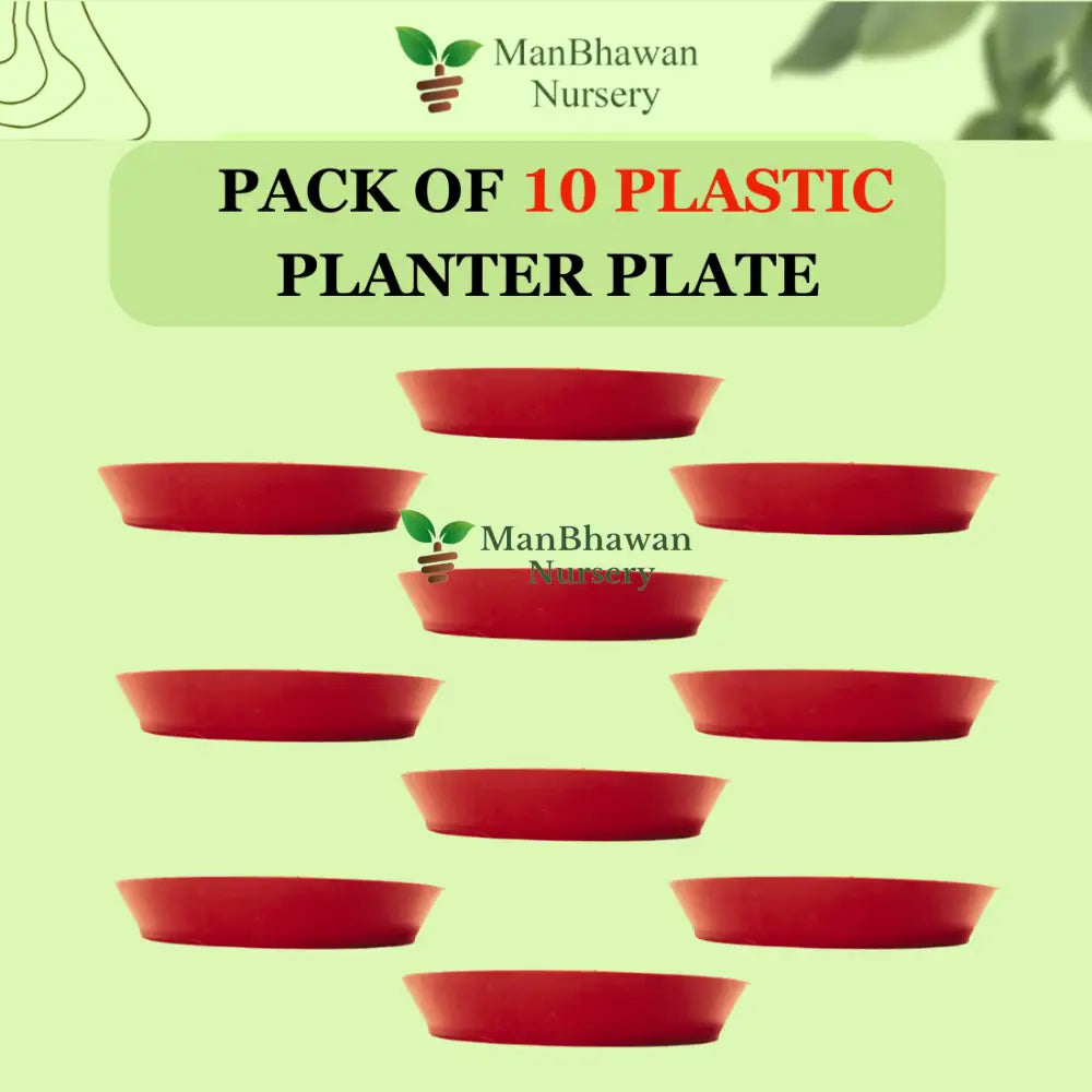 Plastic Planter Ten Plate Combo - 10 Inch Size